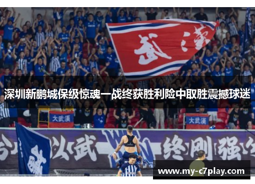 深圳新鹏城保级惊魂一战终获胜利险中取胜震撼球迷 深圳新鹏城保级惊魂一战终获胜利险中取胜震撼球迷